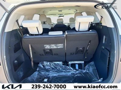 2026 Kia Carnival Hybrid — photo 12 view