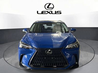 2023 Lexus NX - Photo 2