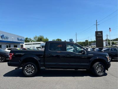 2020 Ford F-150 — rear three-quarter view