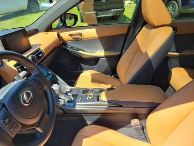 2025 Lexus IS — photo 11 view