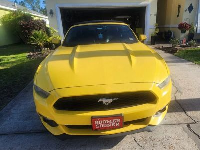 2015 Ford Mustang - Photo 1