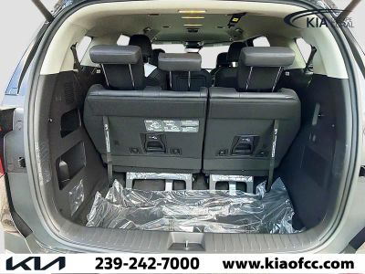 2026 Kia Carnival Hybrid — photo 11 view