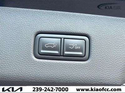 2026 Kia Carnival Hybrid — photo 12 view