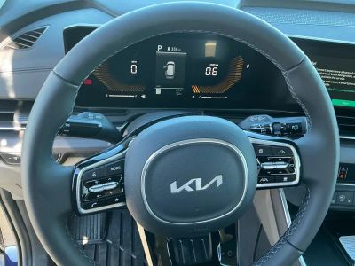 2026 Kia Carnival — photo 14 view