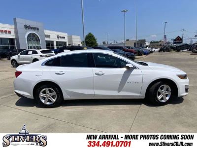 2024 Chevrolet Malibu - Photo 10