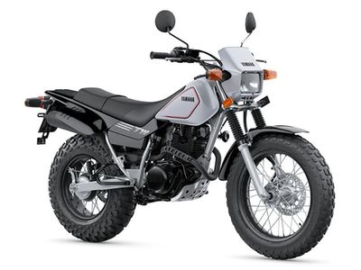 2026 Yamaha TW200 - Photo 6
