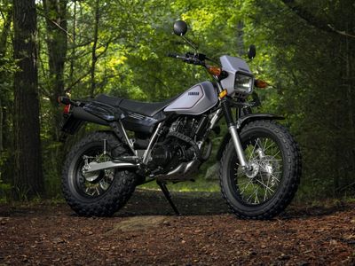 2026 Yamaha TW200 - Photo 17