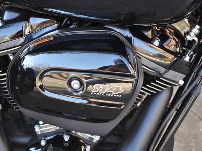 2024 Harley-Davidson Freewheeler - Photo 2