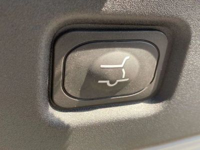 2026 Ford Expedition - Photo 11