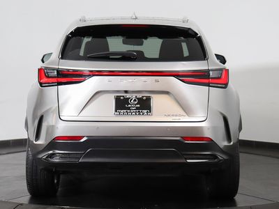 2025 Lexus NX - Photo 4