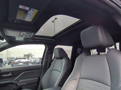 2025 Toyota Tacoma Hybrid — photo 11 view