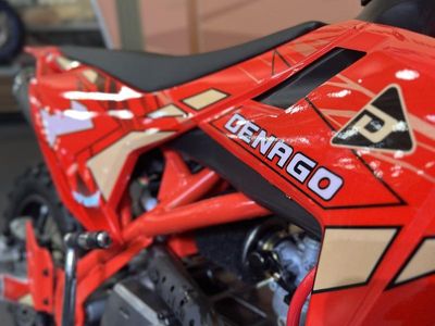 2026 Denago Powersports MX1 - Photo 16