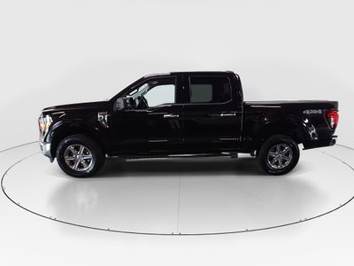 2025 Ford F-150 - Photo 4