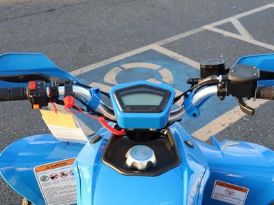 2025 Denago Powersports Daytona 250 FI - Photo 10