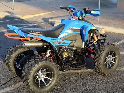2025 Denago Powersports Daytona 250 FI - Photo 6
