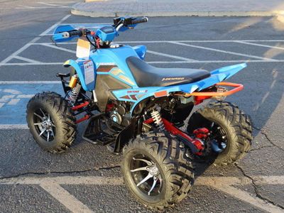 2025 Denago Powersports Daytona 250 FI - Photo 5