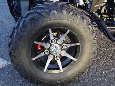 2025 Denago Powersports Daytona 250 FI - Photo 12
