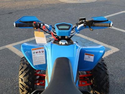 2025 Denago Powersports Daytona 250 FI - Photo 9
