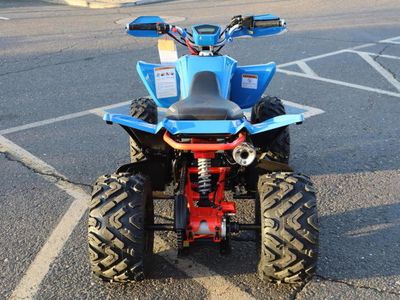 2025 Denago Powersports Daytona 250 FI - Photo 4