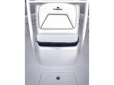 2026 Stingray 236CC — photo 13 view