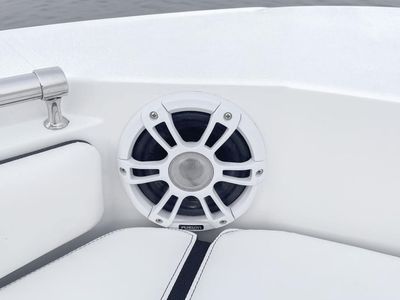 2026 Stingray 236CC — rear three-quarter view