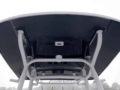 2026 Stingray 236CC — interior view