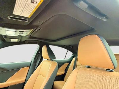 2026 Lexus IS — photo 25 view