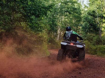 2026 Arctic Cat Alterra 600 TRV Limited - Photo 5