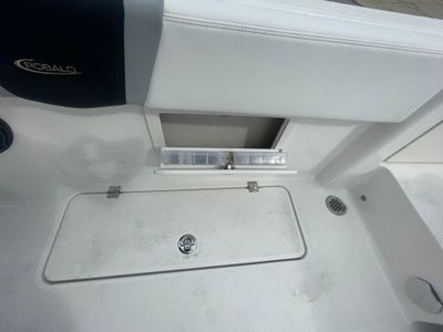 2026 Robalo 250 CC - Photo 24