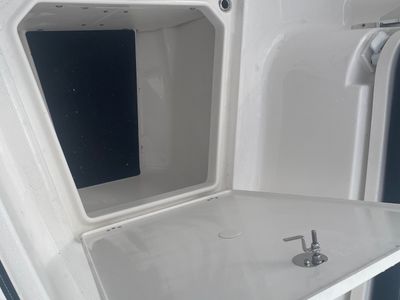 2026 Robalo 250 CC - Photo 41