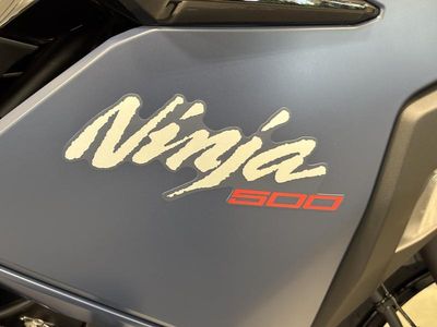 2026 Kawasaki Ninja 500 - Photo 13
