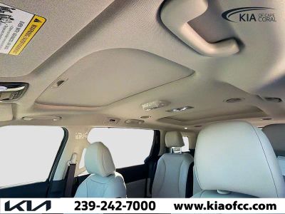 2026 Kia Carnival Hybrid — photo 25 view