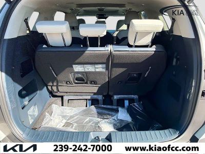 2026 Kia Carnival Hybrid — photo 10 view