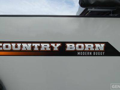 2026 Modern Buggy Country Born - Photo 10