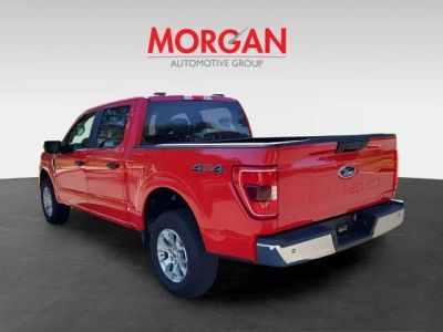 2023 Ford F-150 — rear three-quarter view