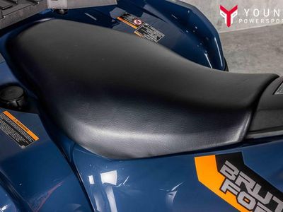 2026 Kawasaki Brute Force 750 EPS - Photo 9