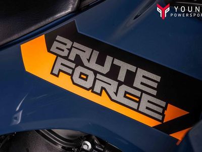 2026 Kawasaki Brute Force 750 EPS - Photo 18