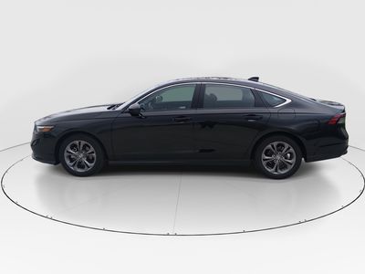 2024 Honda Accord Sedan - Photo 4