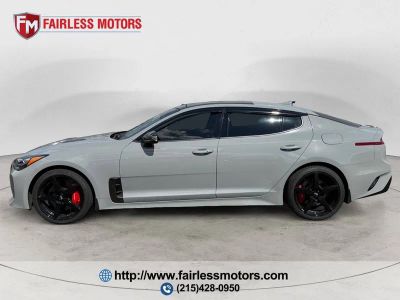 2019 Kia Stinger — side profile view
