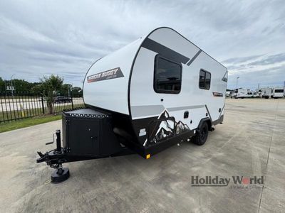 2026 Modern Buggy Country Born CB16 - Photo 3