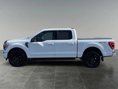 2023 Ford F-150 — detail view