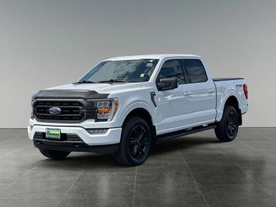 2023 Ford F-150 — rear three-quarter view