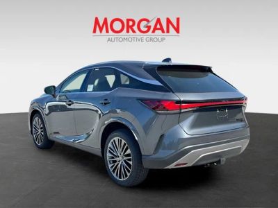 2026 Lexus RX — detail view
