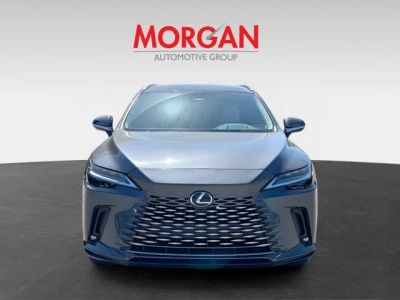 2026 Lexus RX — photo 8 view