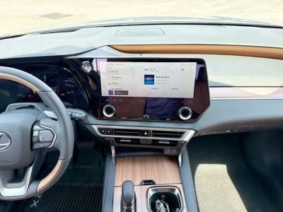 2026 Lexus RX — photo 20 view