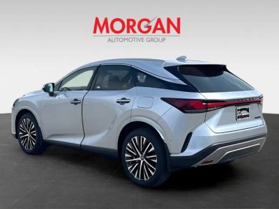2026 Lexus RX — detail view