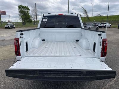 2026 Ford F-150 — photo 10 view