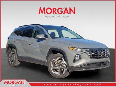 2024 Hyundai Tucson Limited in Hampton Gray — front three-quarter view