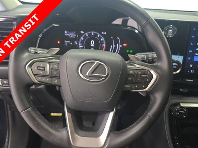 2025 Lexus NX - Photo 6