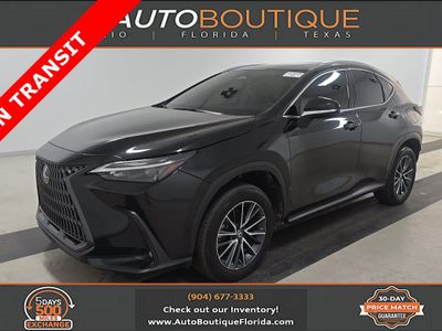 2025 Lexus NX - Photo 1